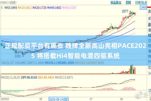 正规配资平台有哪些 魏牌全新高山亮相PACE2025 将搭载Hi4智能电混四驱系统