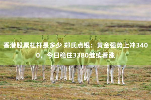 香港股票杠杆是多少 郑氏点银：黄金强势上冲3400，今日稳住3380继续看涨