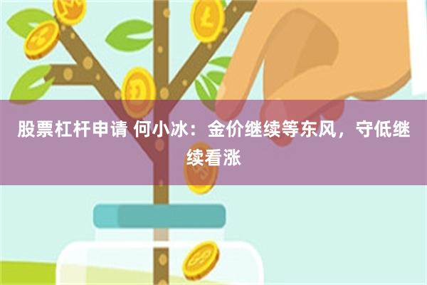 股票杠杆申请 何小冰：金价继续等东风，守低继续看涨