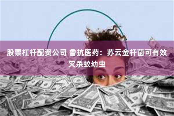 股票杠杆配资公司 鲁抗医药：苏云金杆菌可有效灭杀蚊幼虫