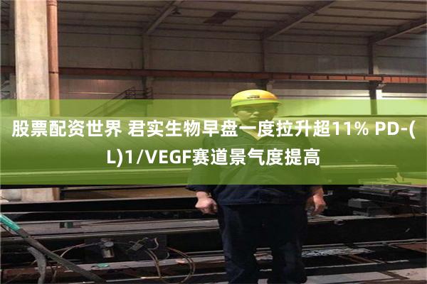 股票配资世界 君实生物早盘一度拉升超11% PD-(L)1/VEGF赛道景气度提高