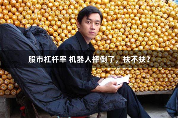 股市杠杆率 机器人摔倒了，扶不扶？
