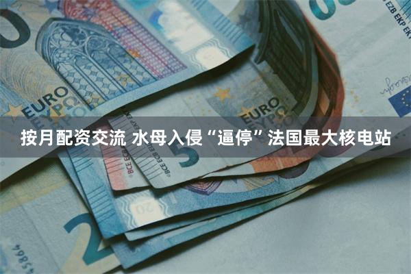 按月配资交流 水母入侵“逼停”法国最大核电站