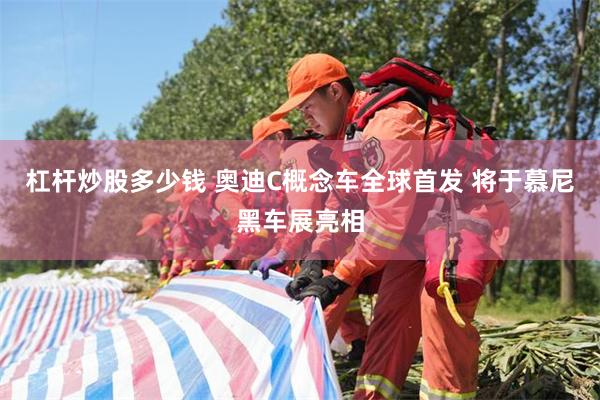 杠杆炒股多少钱 奥迪C概念车全球首发 将于慕尼黑车展亮相