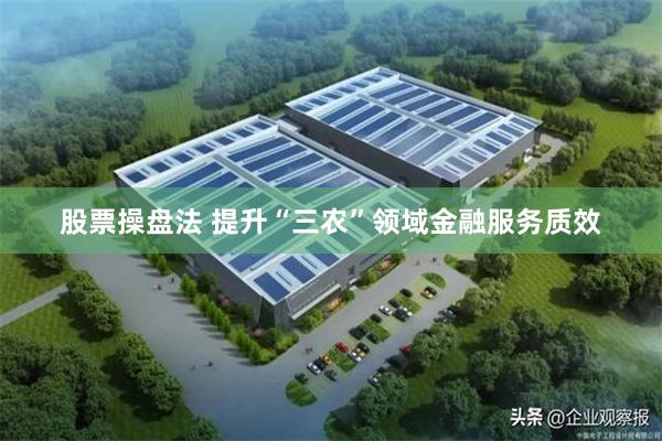 股票操盘法 提升“三农”领域金融服务质效