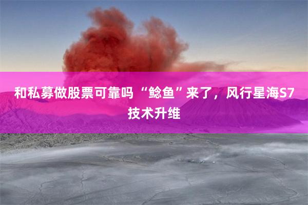 和私募做股票可靠吗 “鲶鱼”来了，风行星海S7技术升维