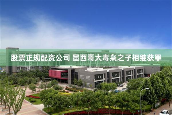 股票正规配资公司 墨西哥大毒枭之子相继获罪