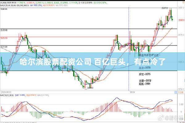哈尔滨股票配资公司 百亿巨头，有点冷了