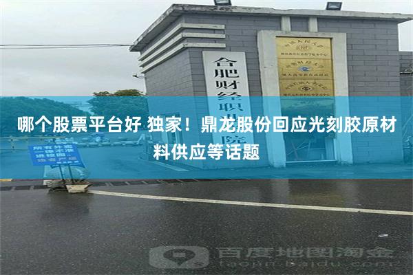 哪个股票平台好 独家！鼎龙股份回应光刻胶原材料供应等话题