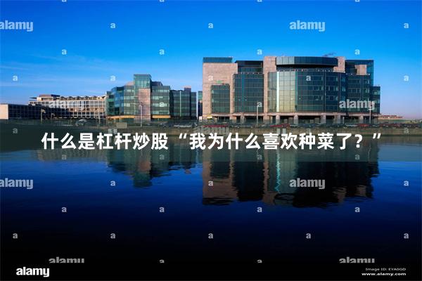 什么是杠杆炒股 “我为什么喜欢种菜了？”