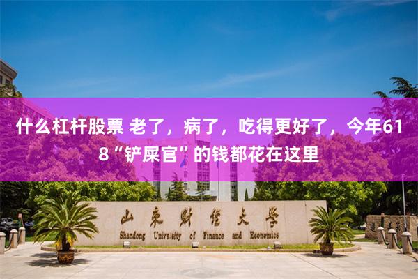 什么杠杆股票 老了，病了，吃得更好了，今年618“铲屎官”的钱都花在这里