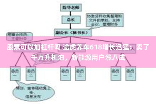 股票可以加杠杆吗 途虎养车618增长迅猛：卖了千万升机油，新能源用户涨八成