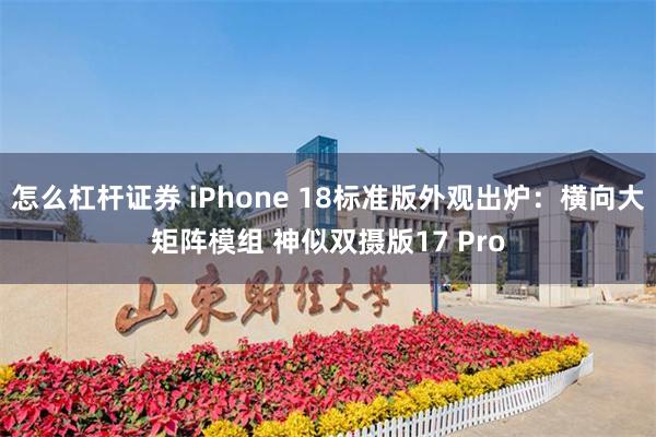 怎么杠杆证券 iPhone 18标准版外观出炉：横向大矩阵模组 神似双摄版17 Pro
