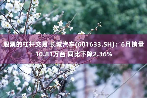 股票的杠杆交易 长城汽车(601633.SH)：6月销量10.81万台 同比下降2.36%