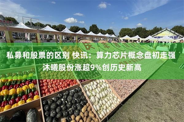 私募和股票的区别 快讯：算力芯片概念盘初走强 沐曦股份涨超9%创历史新高