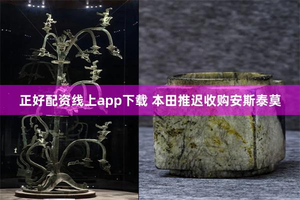 正好配资线上app下载 本田推迟收购安斯泰莫