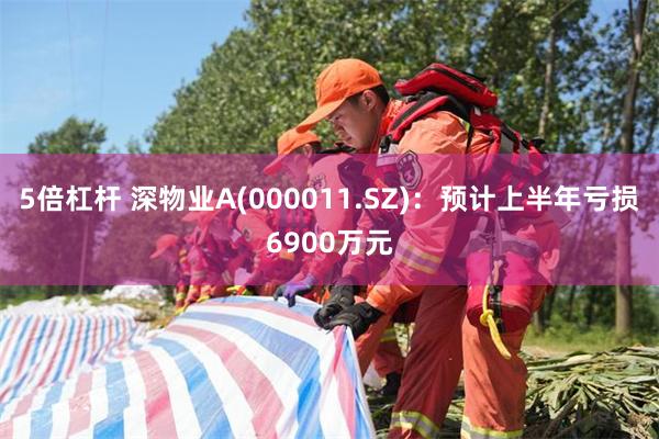 5倍杠杆 深物业A(000011.SZ)：预计上半年亏损6900万元