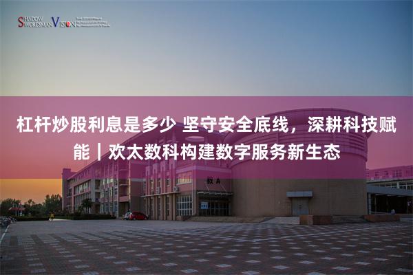 杠杆炒股利息是多少 坚守安全底线，深耕科技赋能｜欢太数科构建数字服务新生态