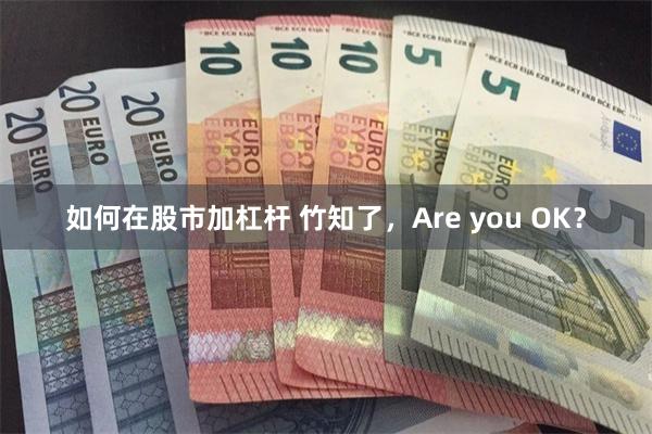 如何在股市加杠杆 竹知了，Are you OK？