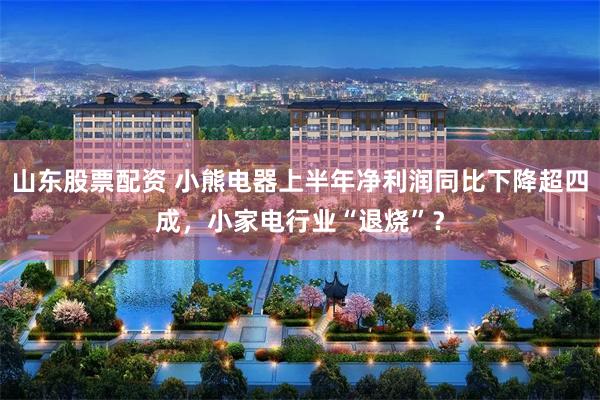 山东股票配资 小熊电器上半年净利润同比下降超四成，小家电行业“退烧”？