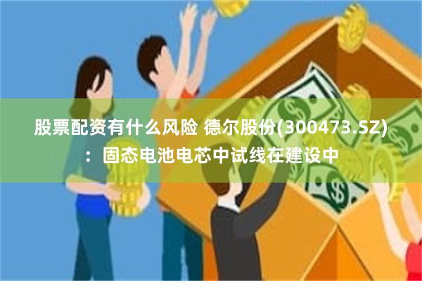 股票配资有什么风险 德尔股份(300473.SZ)：固态电池电芯中试线在建设中