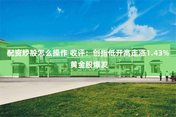 配资炒股怎么操作 收评：创指低开高走涨1.43% 黄金股爆发