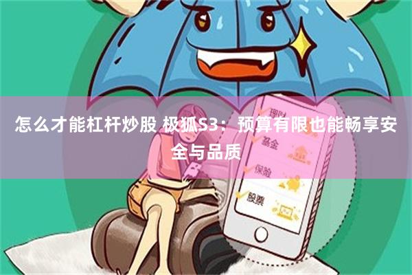 怎么才能杠杆炒股 极狐S3：预算有限也能畅享安全与品质
