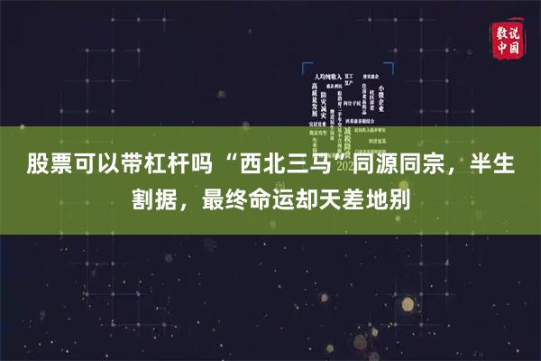 股票可以带杠杆吗 “西北三马”同源同宗，半生割据，最终命运却天差地别