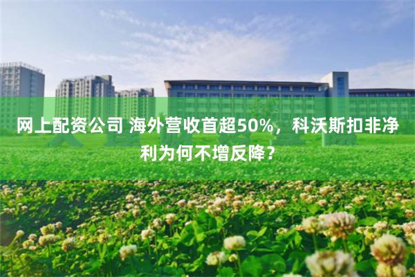 网上配资公司 海外营收首超50%，科沃斯扣非净利为何不增反降？