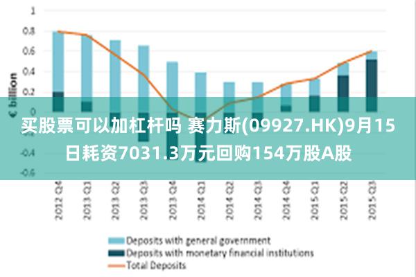 买股票可以加杠杆吗 赛力斯(09927.HK)9月15日耗资7031.3万元回购154万股A股
