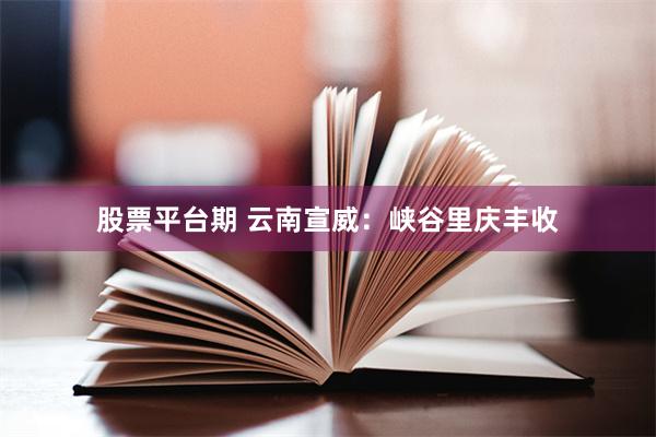 股票平台期 云南宣威：峡谷里庆丰收