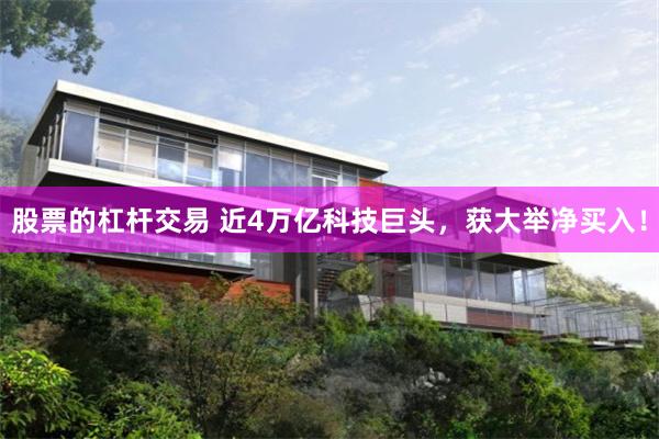 股票的杠杆交易 近4万亿科技巨头，获大举净买入！