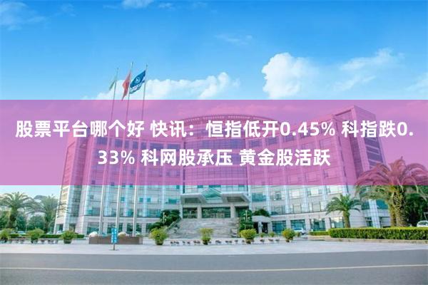 股票平台哪个好 快讯：恒指低开0.45% 科指跌0.33% 科网股承压 黄金股活跃