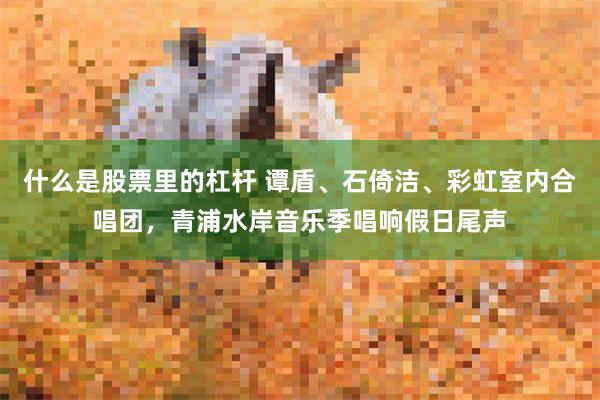 什么是股票里的杠杆 谭盾、石倚洁、彩虹室内合唱团，青浦水岸音乐季唱响假日尾声